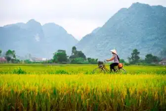 Cao Bang