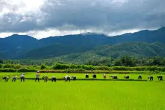 Dien Bien Phu