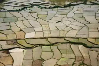 L'Essentiel du Vietnam : circuit nature et culture – Image 12