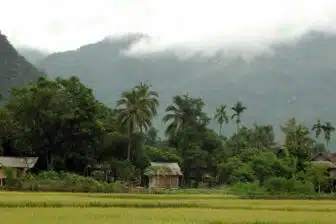 L'Essentiel du Vietnam : circuit nature et culture – Image 13