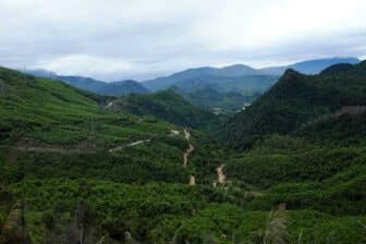 Parc National de Cuc Phuong