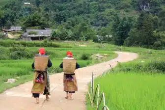 Le Vietnam du Nord au Sud en individuel – Image 13