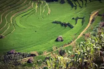 Le Vietnam du Nord au Sud en individuel – Image 2