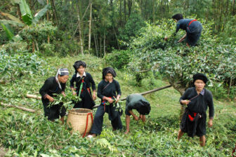 Vietnam du Nord au Sud