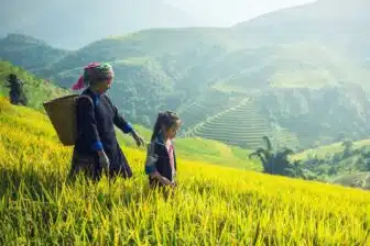 Vietnam du Nord au Sud – Image 4
