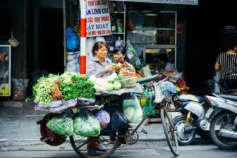 Vietnam du Nord au Sud – Image 5