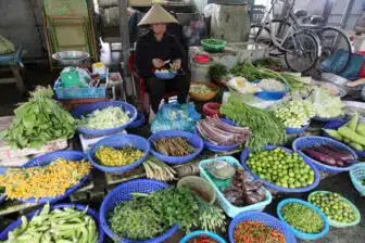 Vietnam du Nord au Sud – Image 9